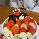 [설빙 용인구성점] 생딸기요거초코볼 후기