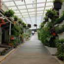 하일호스텔 이미지