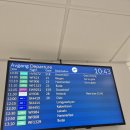 오로라 | 노르웨이 함메르페스트 오로라 여행 후기