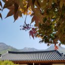 얼음골한옥민박 이미지