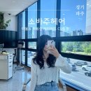 24년 유행 레이어드컷 CS컬 펌 운정 미용실 소바주헤어 현성디자이너