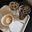 피토하우스 | 시작은 무섭고 그럼에도 해야하는 3월