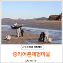 중리어촌체험마을 | 중리어촌체험마을
