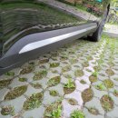 카니발무도장 이미지