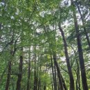 속리산 휴양센터 이미지