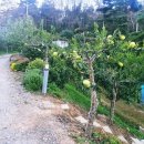 도곡길7 이미지