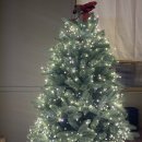 카페에버 이미지