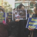 왕궁동물병원 이미지