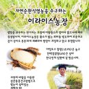 이라이스농장 Daum카페