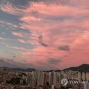 유화(오후) 이미지