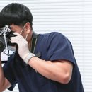 골드 크라운