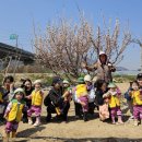 [열린어린이집의 날] 농장체험👨‍🌾👩‍🌾감자심기 꽃들반 이미지
