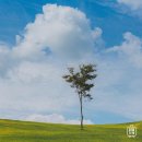 임실치즈펜션 이미지