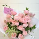 로얄파크장 이미지