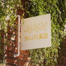 개나리꽃집 이미지