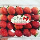 싱싱딸기 이미지