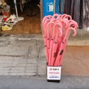 새서울세탁 이미지