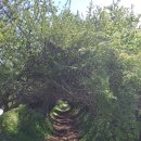 태산목장 이미지