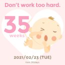 성경 세탁 이미지