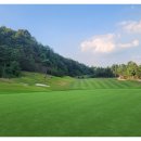 대영힐스CC 이미지