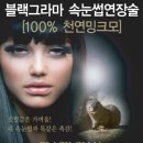 도도한 속눈썹 - 광진구 | 도도한 속눈썹