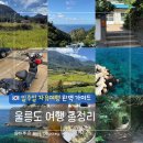 거북바위횟집 | [여자 혼자 울릉도 여행] 일주일 자유여행 총정리｜코스·숙소·프리다이빙·맛집 완벽 가이드