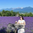 베스트렌트카 | 삿포로 여름 라벤더 만개 비에이 투어 7월 8월 렌트카 후기