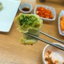 바칼 이미지