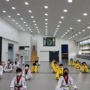 한국체대 온빛태권도장 이미지