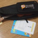 노래로 배우는 우쿨렐레 | 우쿨렐레 강사 2개월 만에 레슨 시작한 주부