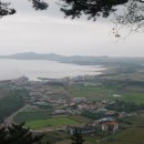 제주 산방산 암벽식물지대 이미지