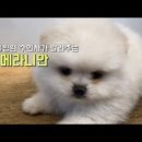 하안동물병원 이미지