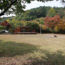 금호농원 이미지