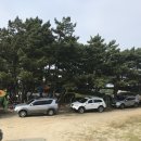 청포대비치캠핑장 이미지