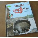 (와이즈만북스)와이즈만 환경과학 그림책 8.닥터 홀의 싱크홀 연구소 - 싱크홀도 결국 사람이 만든거네요~ 이미지