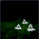 석부농장 이미지