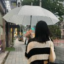 190 바(bar) 이미지