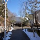 파인빌펜션 | 가평글램핑 파인포레스트 글램핑 이용후기