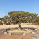 갈맷길(9코스) 이미지