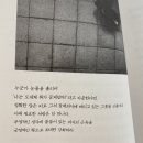세히네세탁소 | 일상.