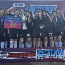 부산디지털고1 이미지