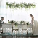 천안가구웨딩거리 이미지