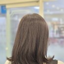 (주)가온인테리어 | 금천 가디역 미용실 애쉬브라운 염색 잘하는 가온힐조헤어 가산역점