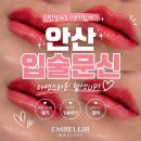 앙벨리르 | 💋 안산입술문신, 자연스러운 생기를 더하는 방법! 앙벨리르 입술문신 후기