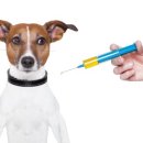 소랑동물병원 이미지