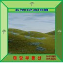 남심리 네이버블로그