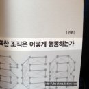 와이저, 똑똑한 조직은 어떻게 움직이는가 이미지