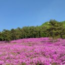 수만리 생태숲공원 이미지