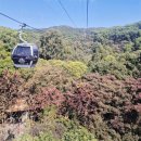 (주)동서울택시(자가정비) | 광저우 백운산 후기! 엄마랑 케이블카 타고 본 광저우 전망