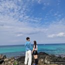 바글바글식당 이미지